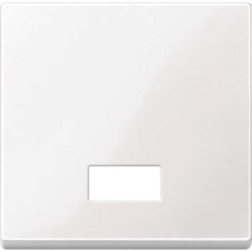 Merten WIPPE THERMOPLAST M.SYMBOLFE. / MERTEN 4328 19 SYS.M PWS GL 432819