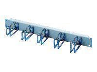 Rittal TS IT - Kabelmanagement - RAL 7035 - 1U - 48.3 cm (19")