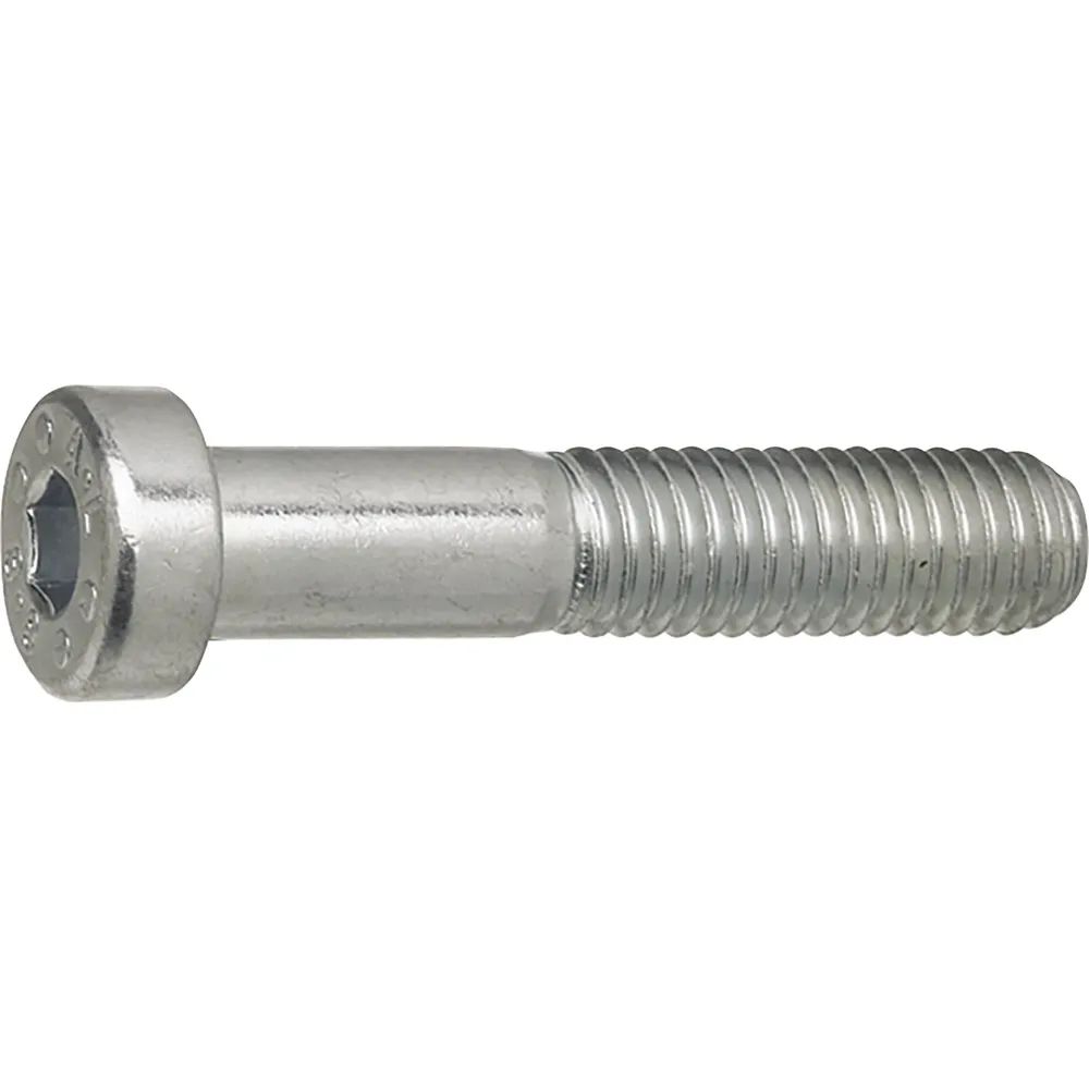 Bontempi Vibo spa  DIN7984 08.8 M10x 30 verzinkt Zylinderschraube niedriger Kopf, Innensechskant