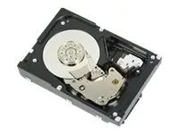 Dell Festplatte - 300 GB - intern - 3.5" (8.9 cm)