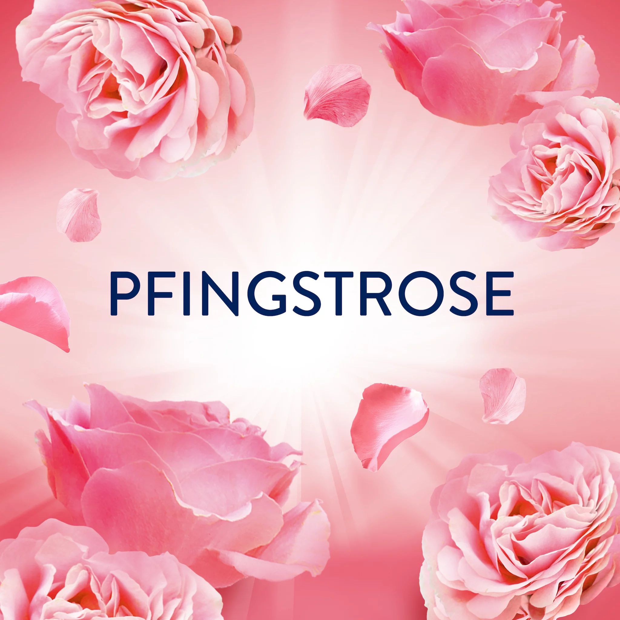 Lenor Wäscheparfüm, Pfingstrose & Hibiskusblüte, 155g