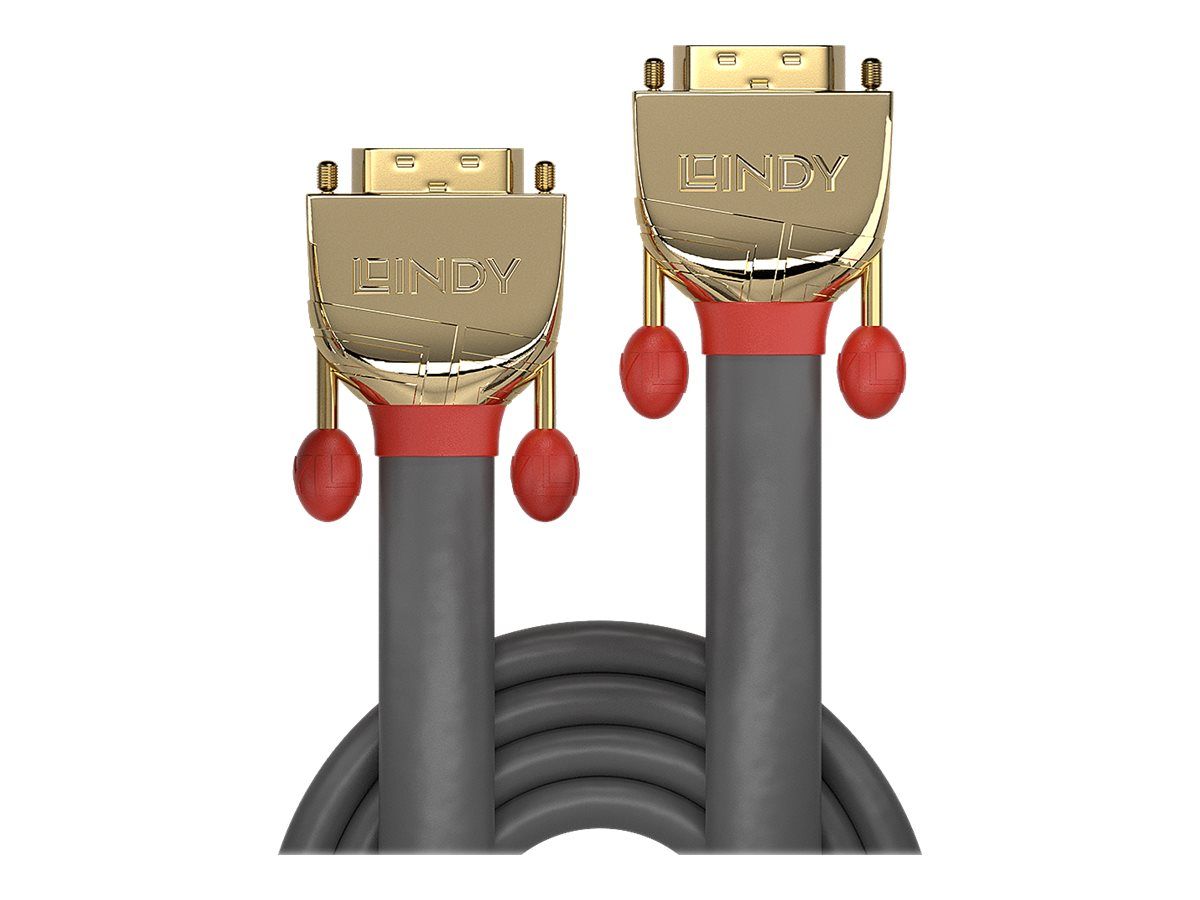 Lindy Gold - DVI-Kabel - Dual Link - DVI-D (M)