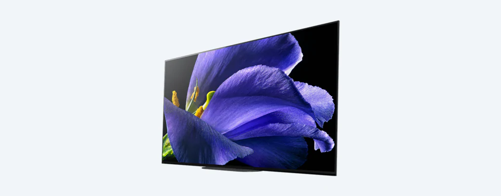 Sony KD-55AG9 Set inkl. 60 Monate Garantie
