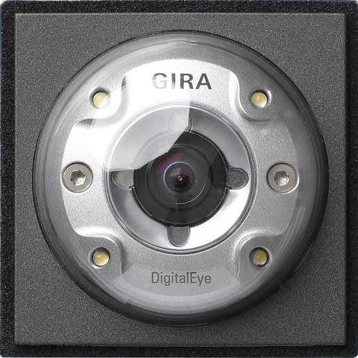 Gira FARBKAMERA FÜR UP-TÜRSTATION / GIRA 126567 ANTH. 126567