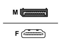 Dell Videoadapter - DisplayPort männlich eingerastet