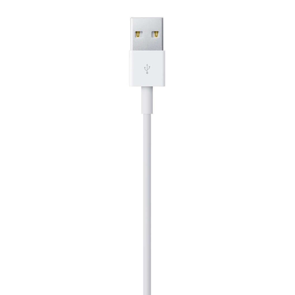 Apple Lightning-Kabel - Lightning männlich zu USB männlich