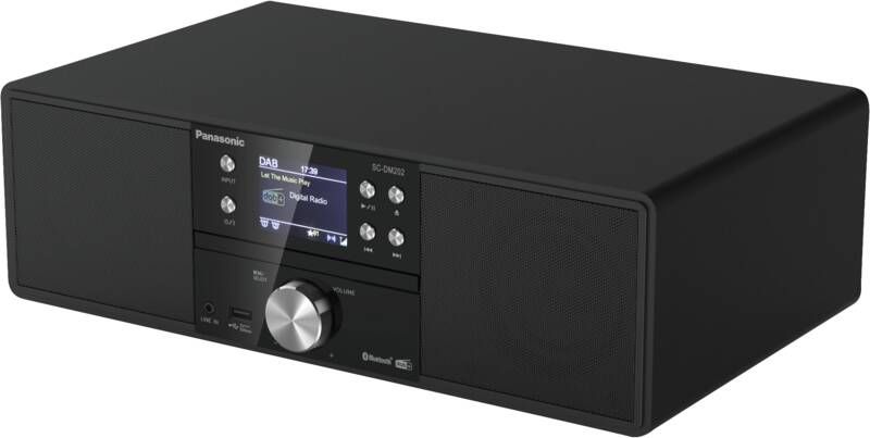 Panasonic Kompaktanlage SC-DM202EG-K