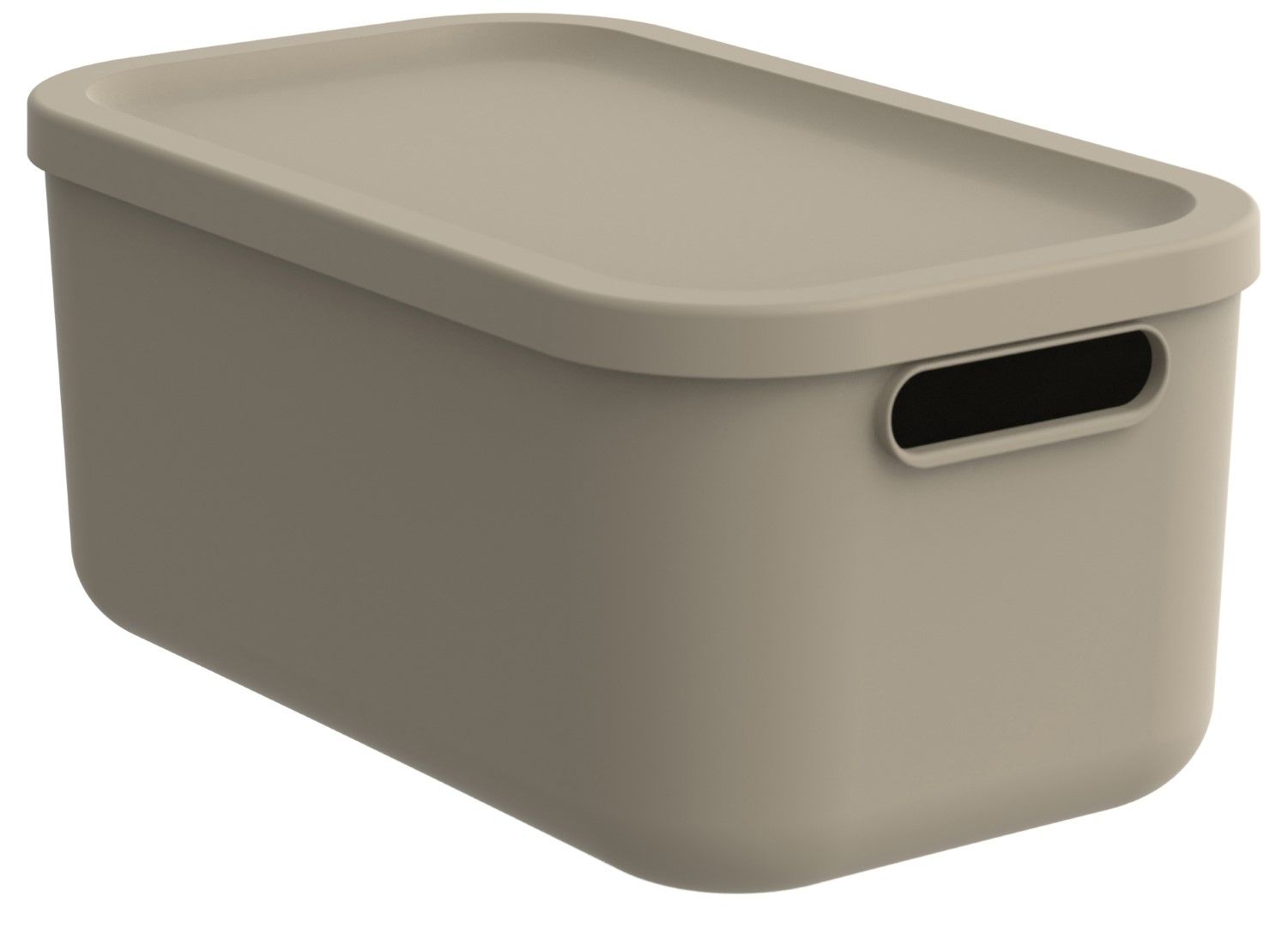 Rotho Box 12 l ALBULA LIGHT