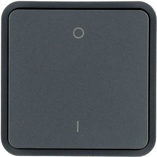 Berker KNX W.1 WIPPE F.TASTER-BA 1F.M / BERKER 30423545