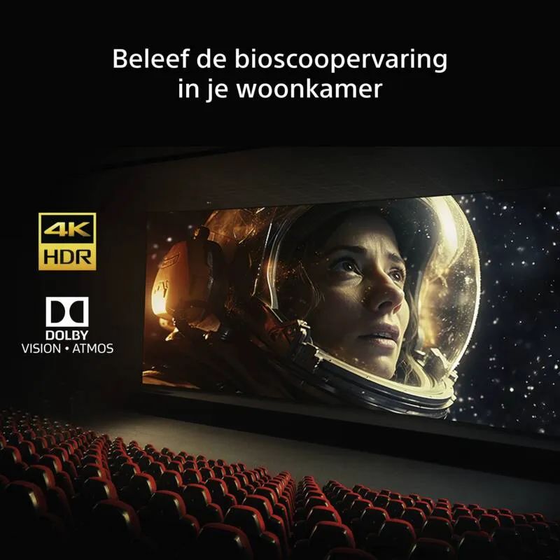 Sony Bravia 6 K48A69PB