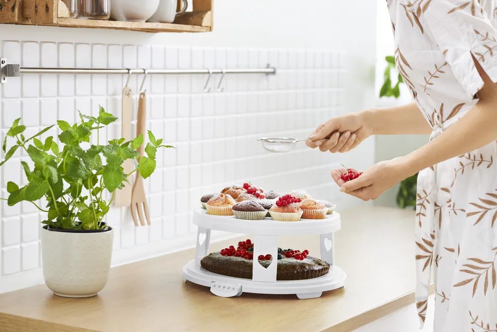 Rotho Tortenglocke XL 26 cm mit Trays FRESH