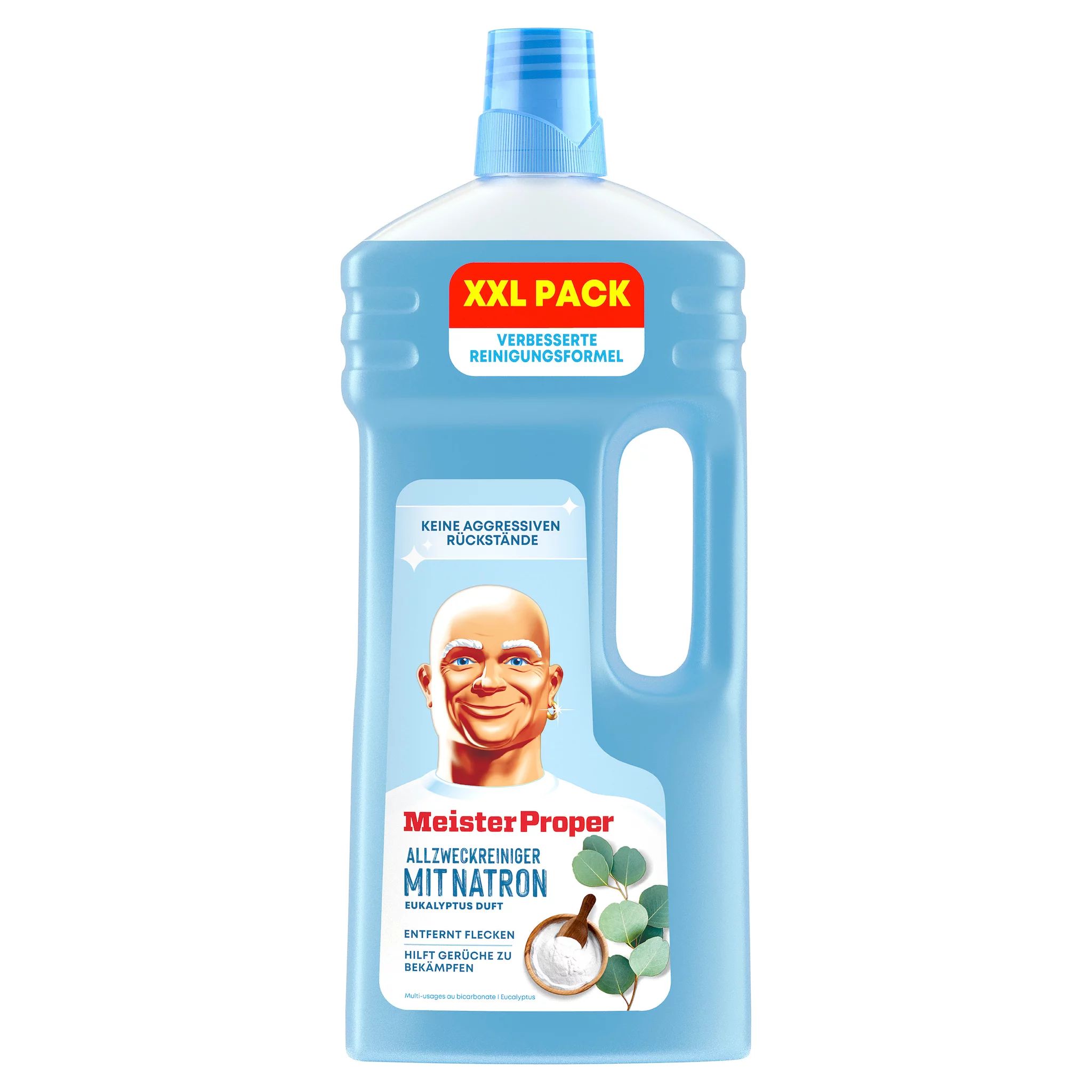 Meister Proper Natron 2L