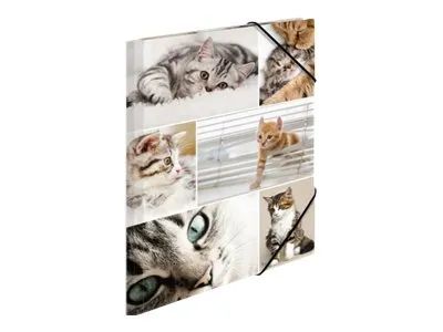 HERMA Aktenmappe mit 3 Klappen - für A4 - Katzen
