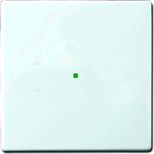 Busch-Jaeger WIPPE 1-FACH / BUSCH 6230-10-84 2CKA006220A0034