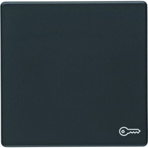 Berker Q.1 WIPPE M.AUFDRUCK SYMBOLSCH / BERKER 16206066
