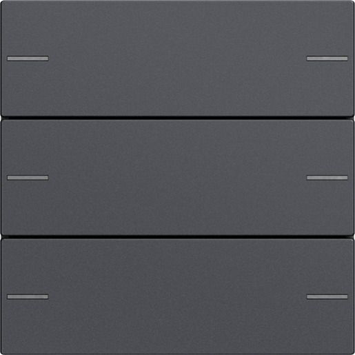Gira WIPPENSET 3F TASTSENS.4 ANTHR. / GIRA 575328 SYSTEM 55 575328