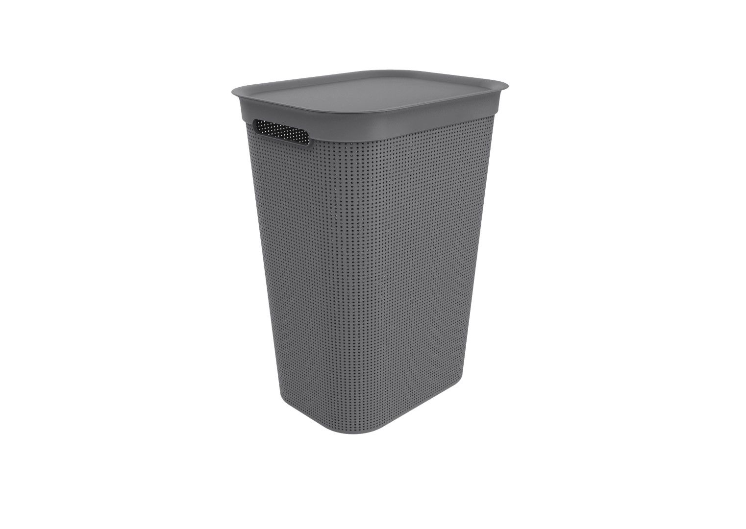 Rotho Wäschesammler 50 L BRISEN
