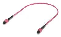 Ubiquiti Indoor OM4 multi-mode fiber patch cable with MPO-12 Type - Kabel - Netzwerk 0,5 m