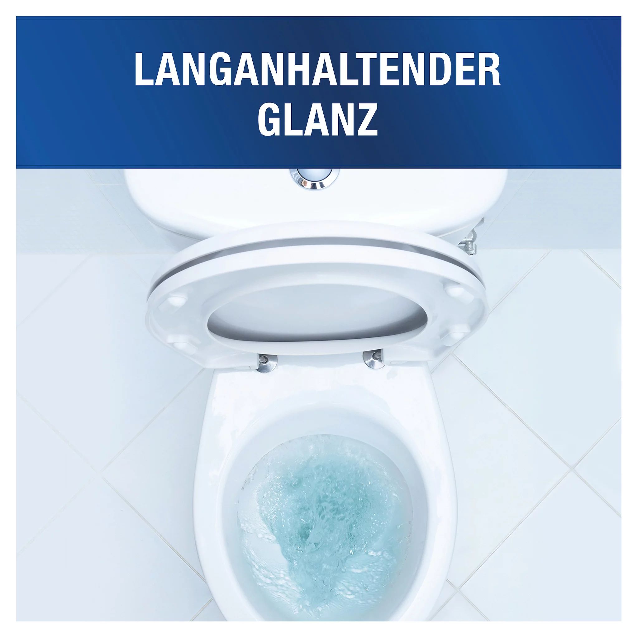 Mr. Proper Professional Desinfizierender WC-Reiniger