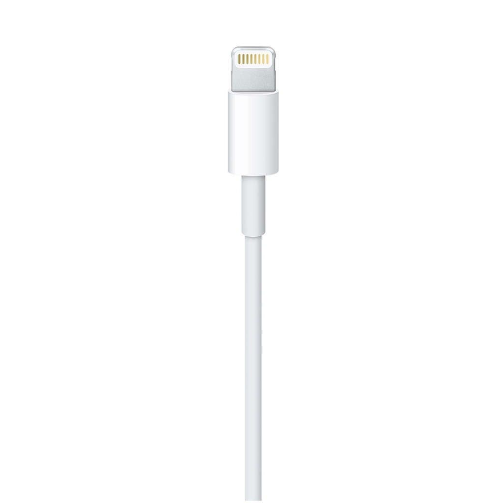 Apple Lightning-Kabel - Lightning männlich zu USB männlich
