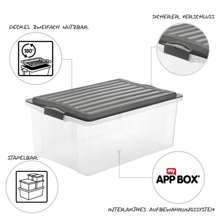 Rotho Stapelbox A3, 38 l COMPACT