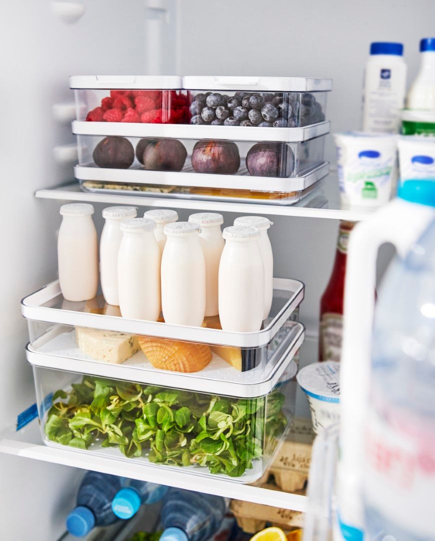 Rotho Kühlschrankorganizer 4,65 l CAUMA