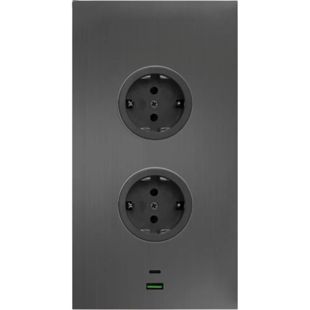 CARESSI Steckdosenelement 2ST20 2 Schukosteckdosen, 2 Stk. USB, anthrazit