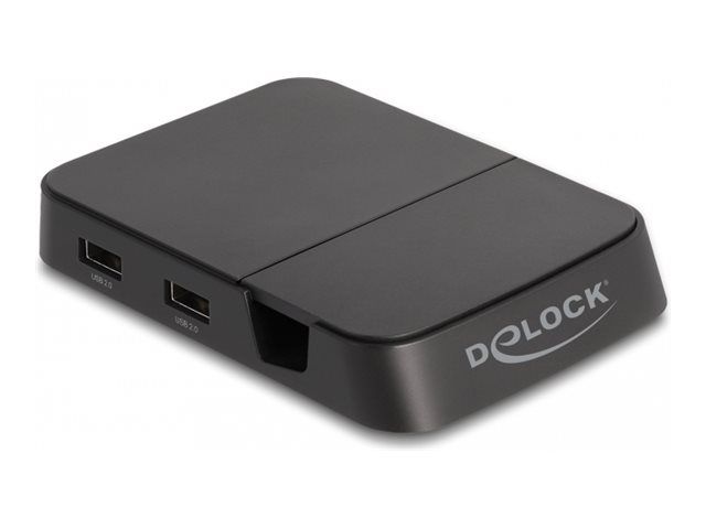 Delock Dockingstation - USB-C / Thunderbolt 3