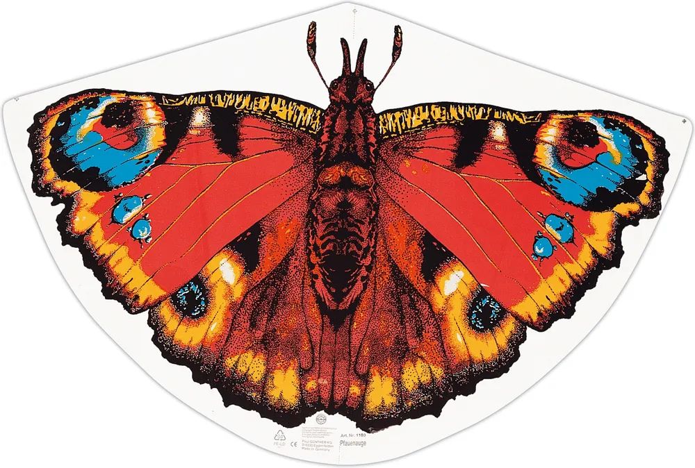 PBS Deutschland Süd GmbH & Co.KG Drachen Pfauenauge, 92x62cm GÜNTHER
