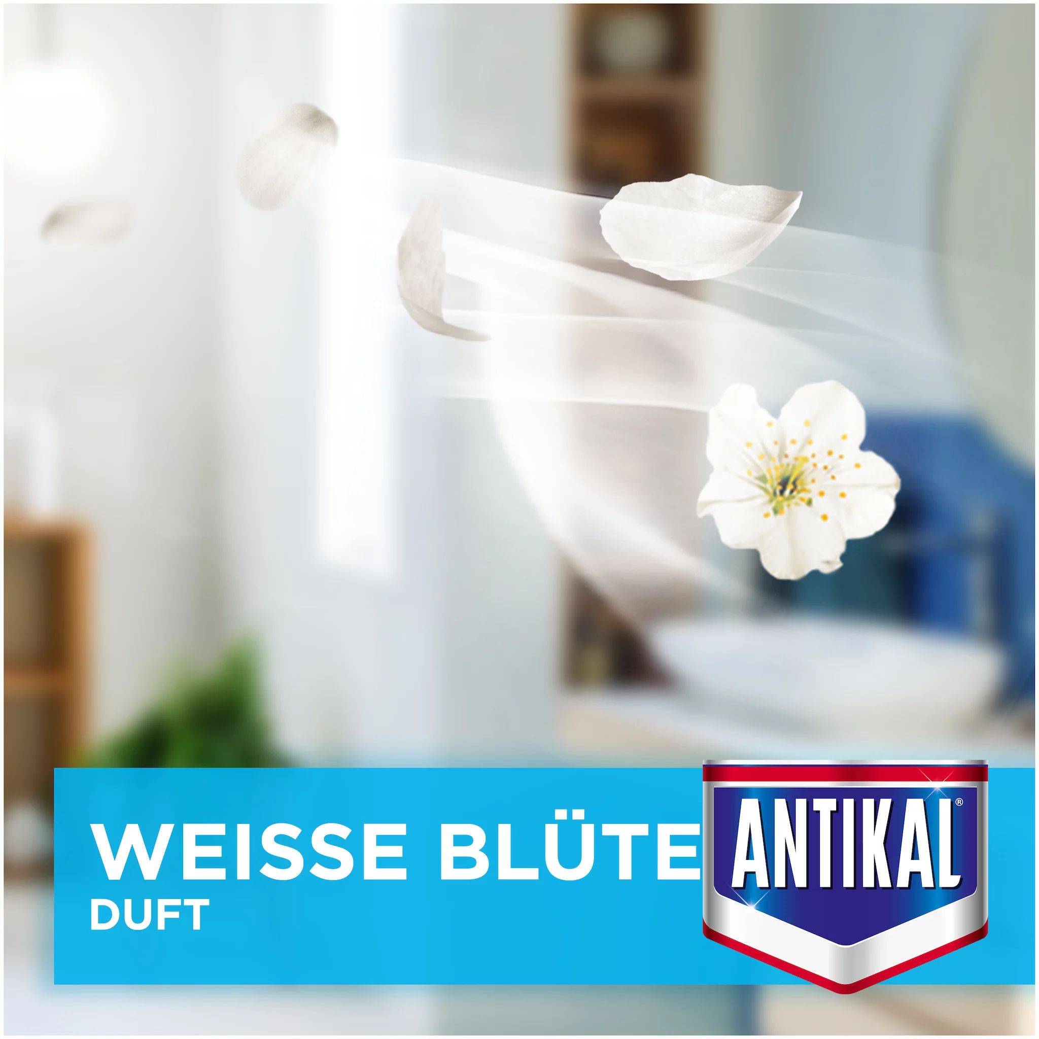 Antikal Dusche Express Spray 800 ml