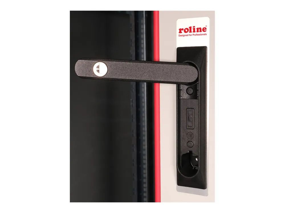 ROLINE Basic - Schrank Netzwerkschrank - Glas Tür, 600x800 BxT - RAL 7035, Hellgrau - 42HE - 48.3 cm (19")