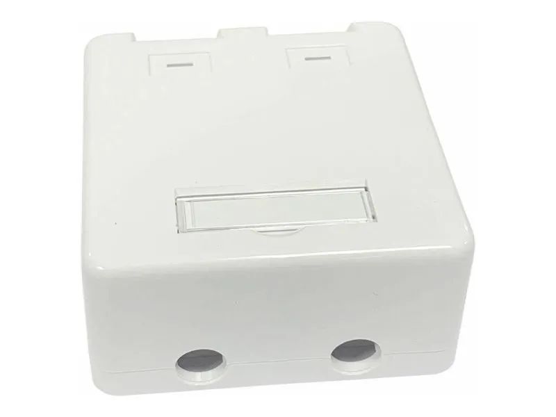 Lanview Installationskasten Netzwerkoberfläche - RJ-45 X 2 - weiß