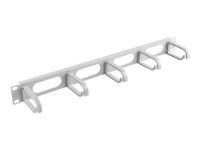Lanberg Type B - Kabelführungsplatte für Schaltschrank - RAL 7035 - 1U - 48.3 cm (19")