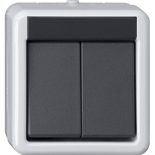 Gira TASTER BA 2F 2 PKT WG AP GRAU / GIRA 516230