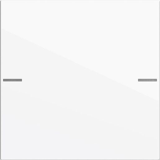 Gira WIPPENSET 1F TASTSENS.4 RWS / GIRA 575103 SYSTEM 55 575103