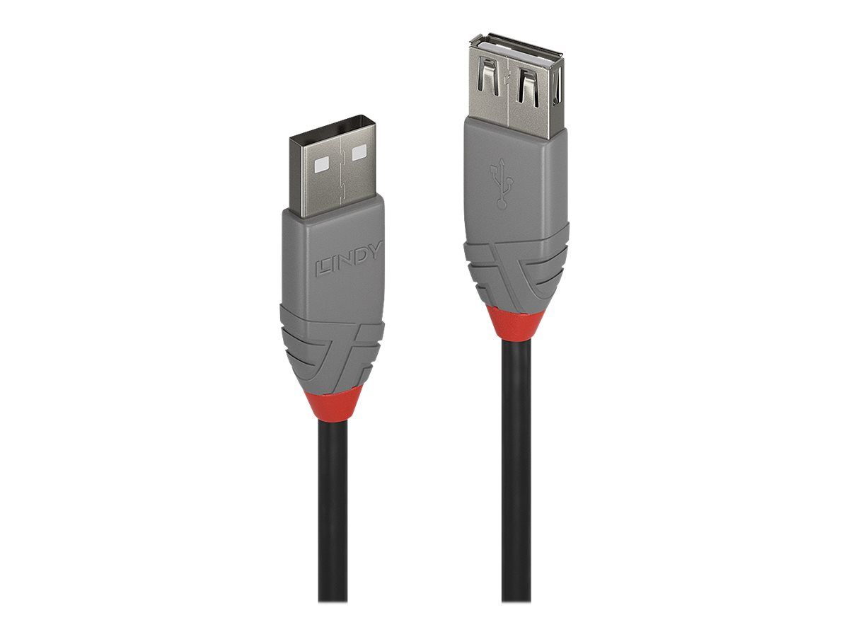Lindy Anthra Line - USB-Kabel - USB (M) zu USB (M)