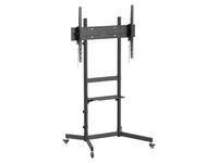 Equip Bodenstandhalter 55"-100"/1TFT Economy sw