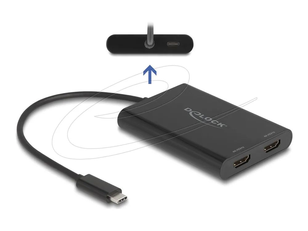 Delock Dockingstation - USB-C / Thunderbolt