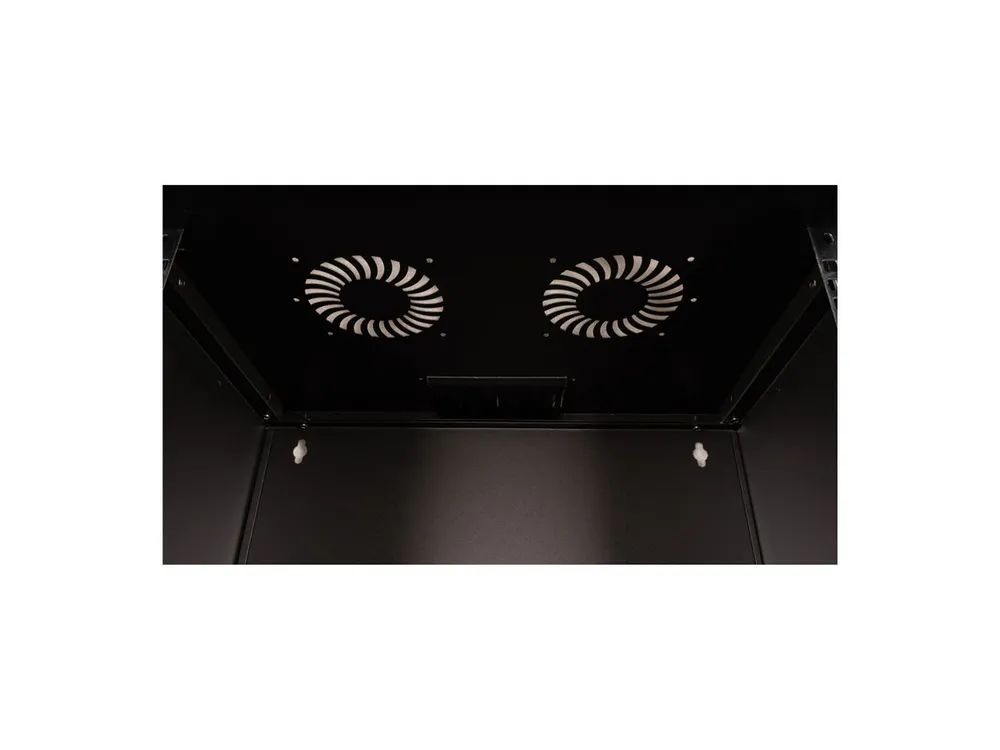 ROLINE Basic - Gehäuse - Set, 540x400 BxT - geeignet für Wandmontage - RAL 9005, Jet Black - 12U - 48.3 cm (19")