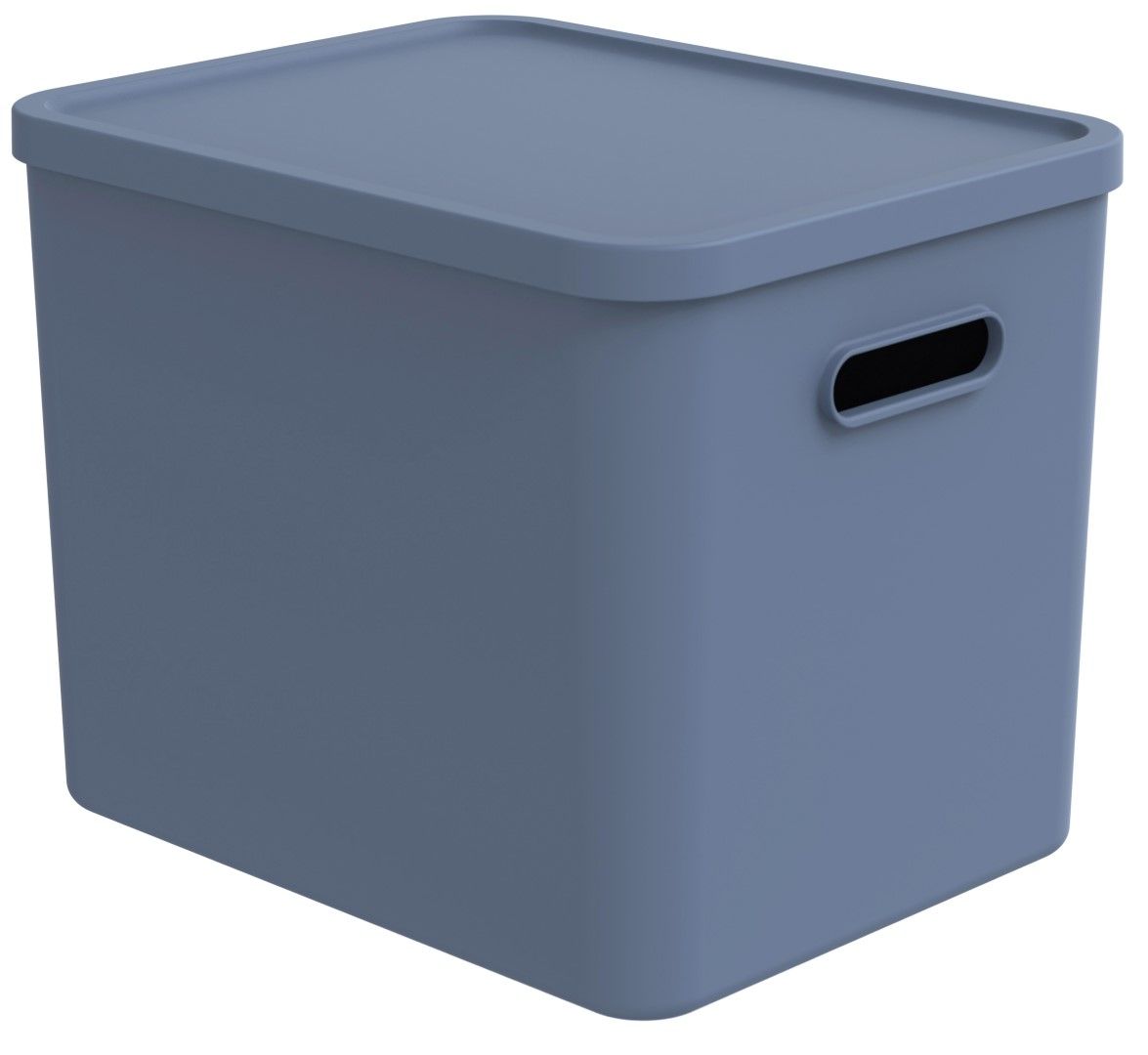 Rotho Multibox 27 l, C4 ALBULA