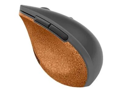 Lenovo Go - Maus - ergonomisch - Für Rechtshänder - optisch blau - 6 Tasten - kabellos - 2.4 GHz - kabelloser Empfänger (USB)