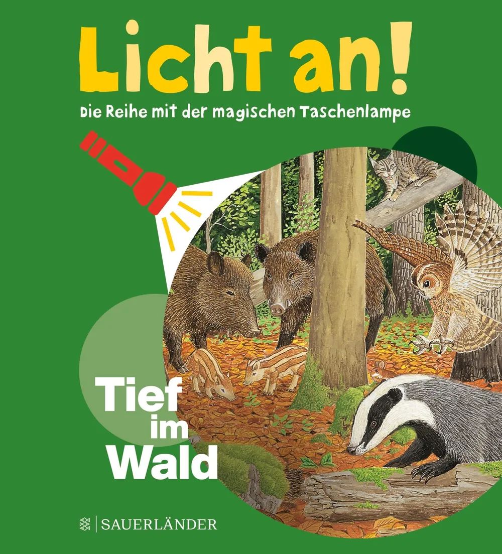 Fischer Sauerländer GmbH Licht an 04 Tief im Wald