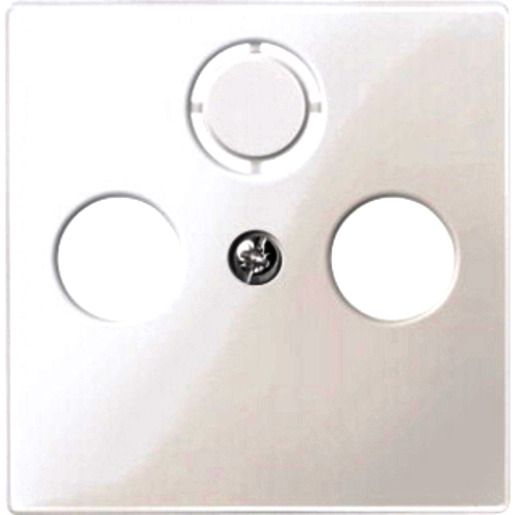 Merten ZENTRALPL.F. ANTENNE / MERTEN 2967 19 SYS.M PWS GL 296719