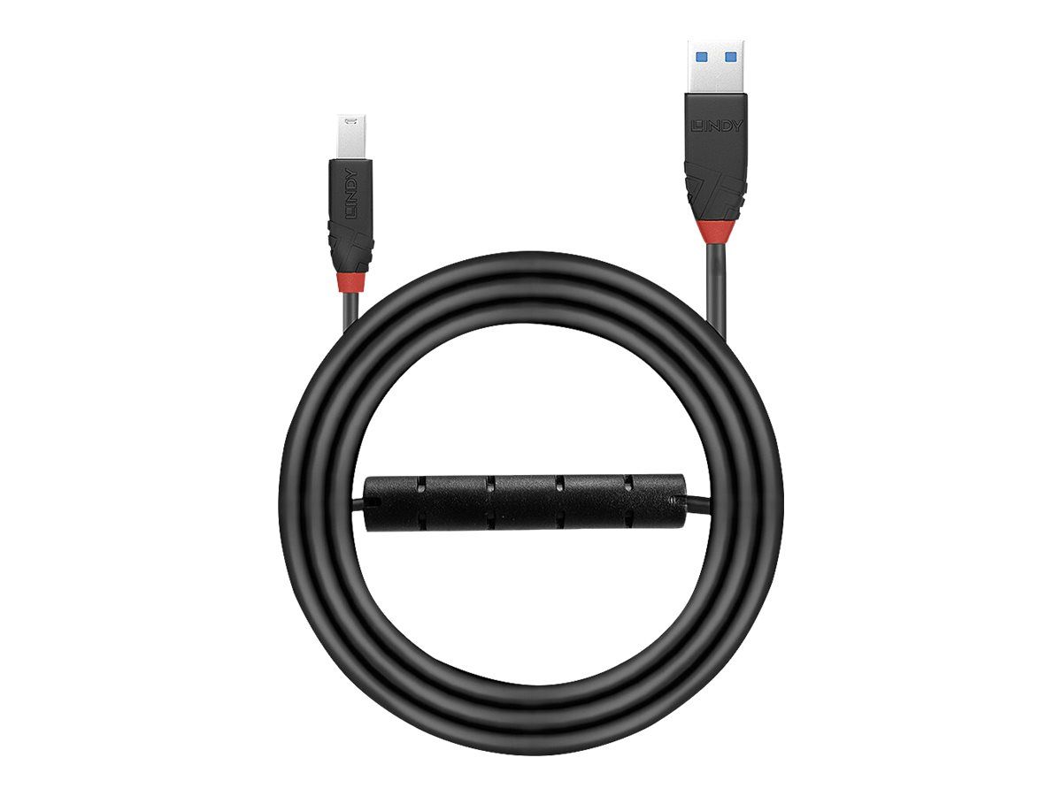 Lindy USB-Kabel - USB Typ A (M) zu USB Type B (M)