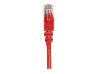 Intellinet Network Patch Cable, Cat6A, 0.25m, Red, Copper, S/FTP, LSOH / LSZH, PVC, RJ45, Gold Plated Contacts, Snagless, Booted, Polybag - Patch-Kabel - RJ-45 (M)