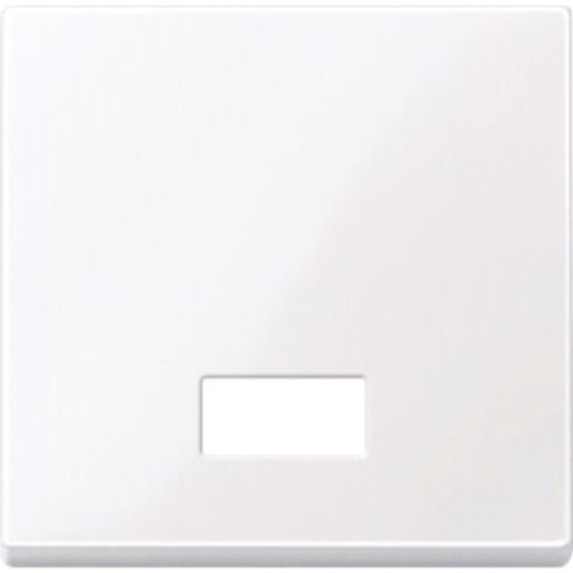 Merten WIPPE M. SYMB. TPB SYS.M / MERTEN 432825 AKTIVWEISS 432825