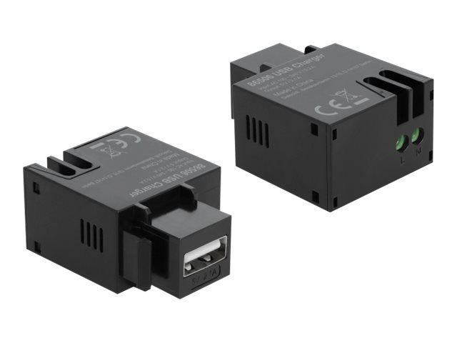 Delock Keystone module - Modulare Eingabe - USB-Ladefunktion