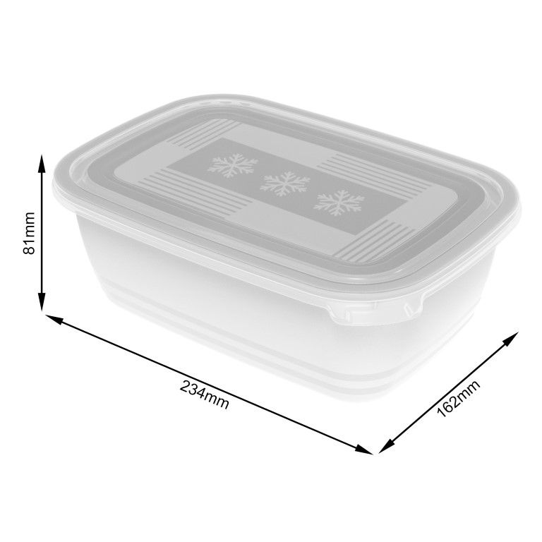 Rotho Set Gefrierdosen 2 x 1.9 l FREEZE