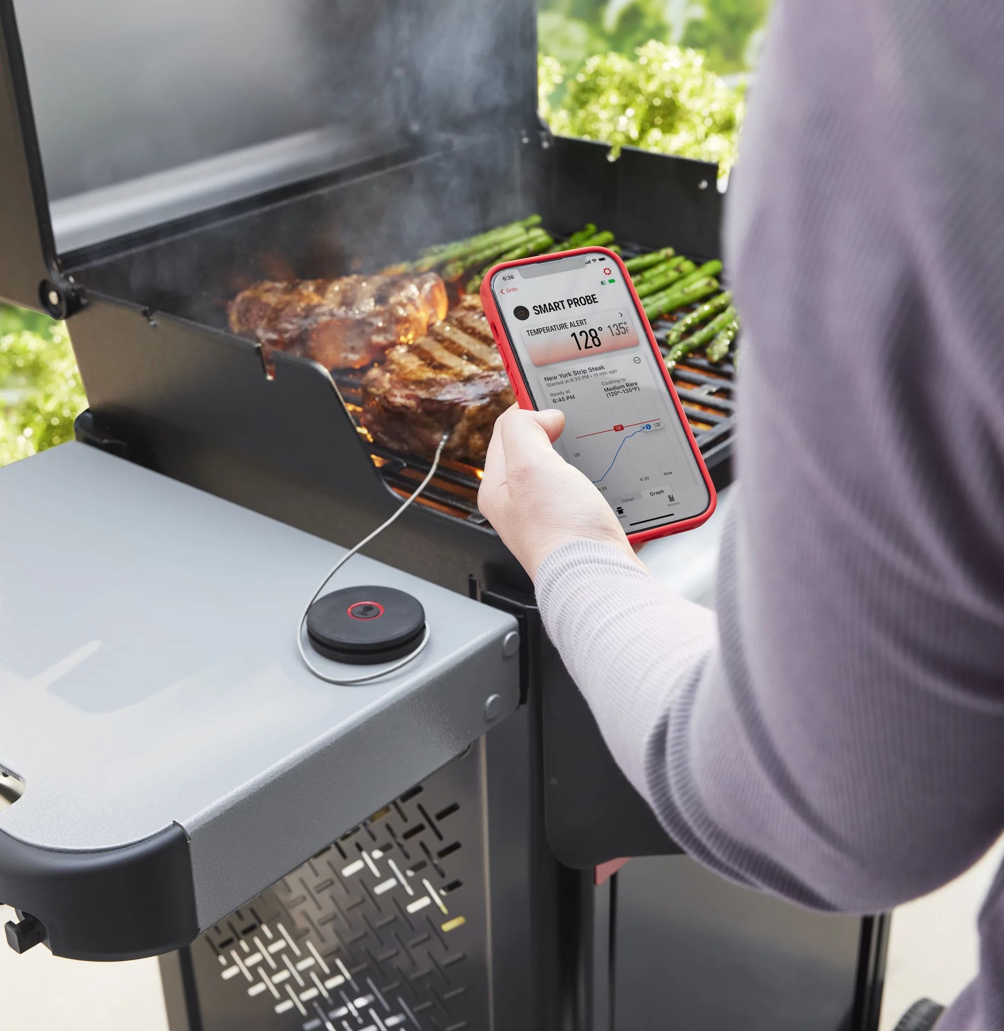 Weber Bluetooth Thermometer