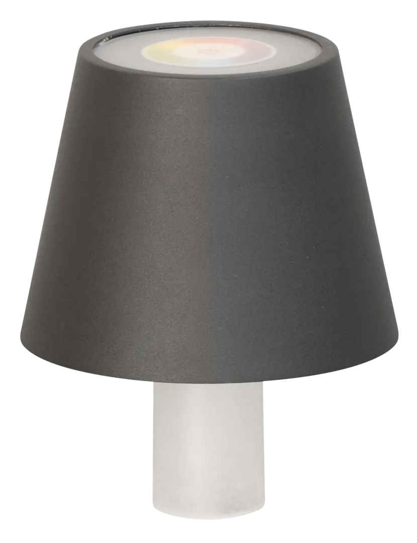 FH Lighting GmbH Flaschenlampe FIOCCO grau RGB
